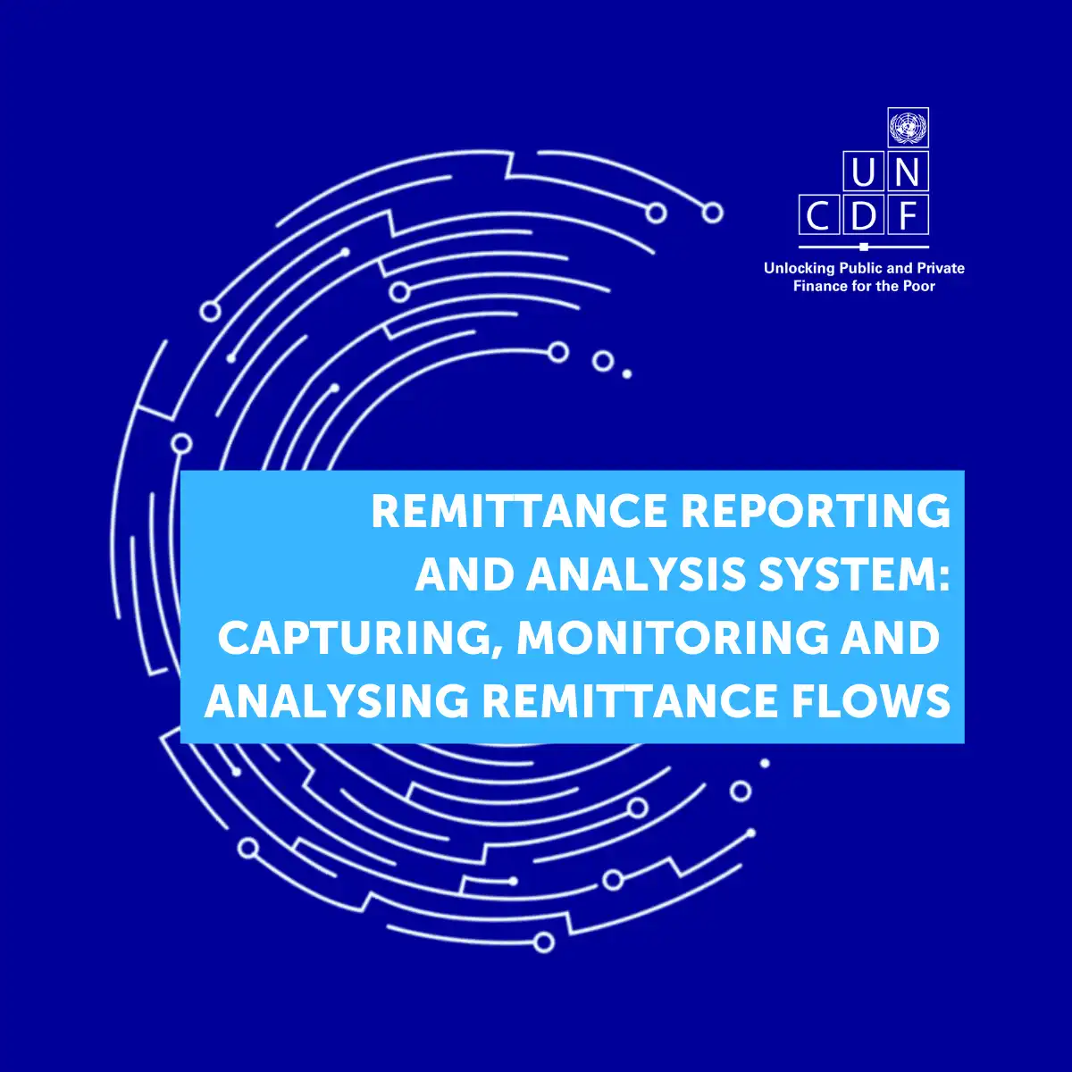 Remittance Reporting and Analysis System