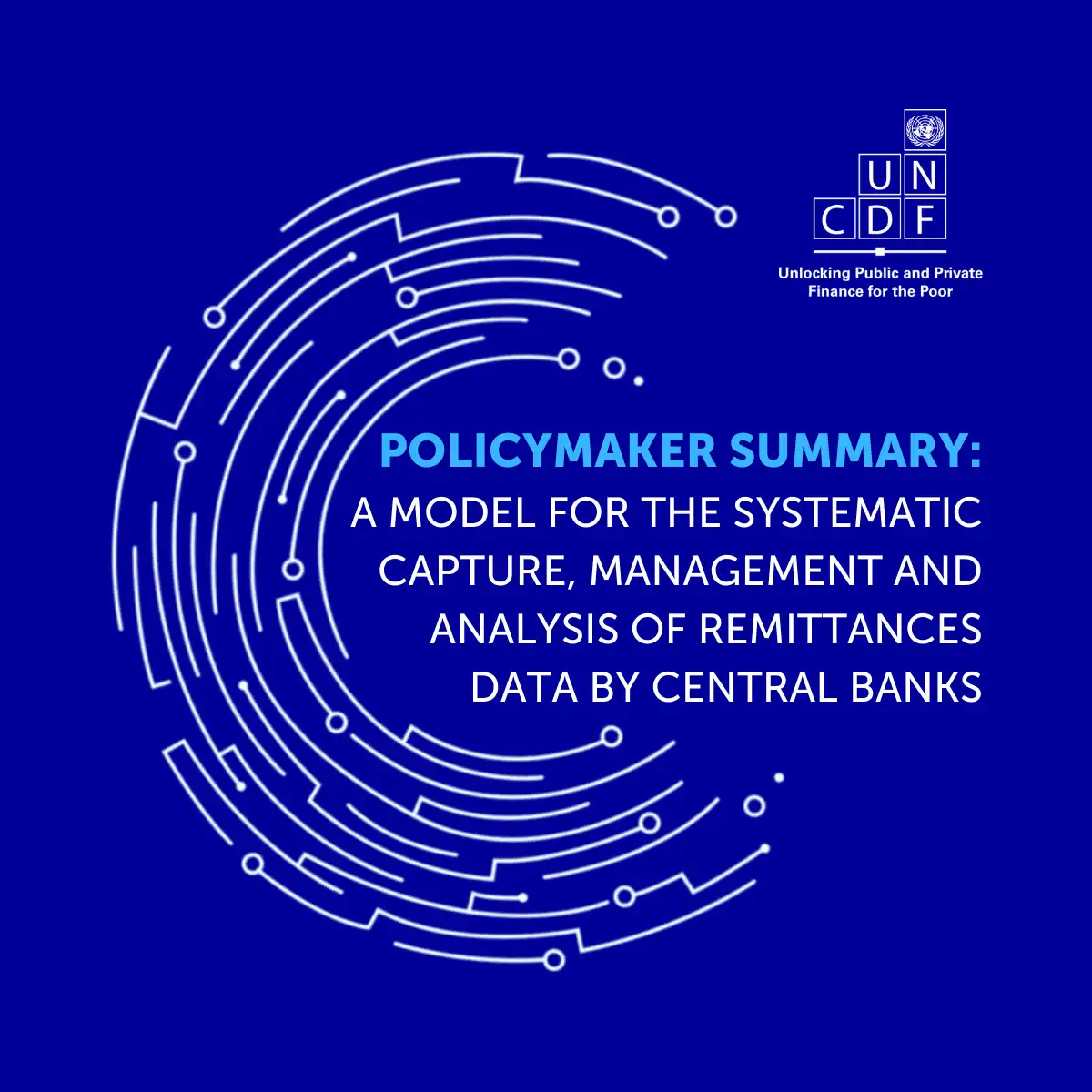 Systematic Capture, Management, and Analysis of Remittance Data by Central Banks